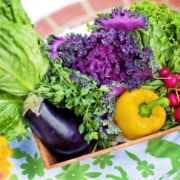 proteine vegetali, un cesto di verdura