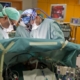 equipe medica a lavoro per un trapianto di fegato
