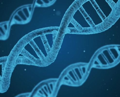 12695 genetica e1479566874268