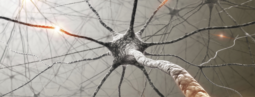 neurostimolazione, l'immagine di una rete neurale