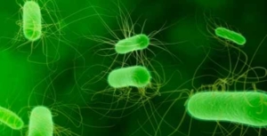 infezioni fingine: super batteri