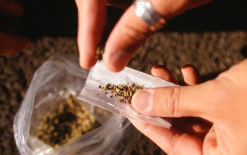 cannabis: numeri ed effetti della sostanza stupefacente più usata al mondo