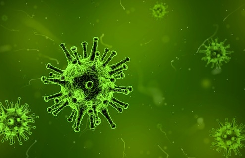 epatite il virus