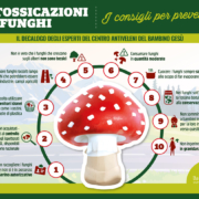 funghi e intossicazioni: il vademecum per non rischiare