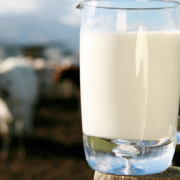lattosio, tutti i miti da sfatare sul latte
