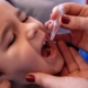 poliomielite verso la fine. il punto al world polio day