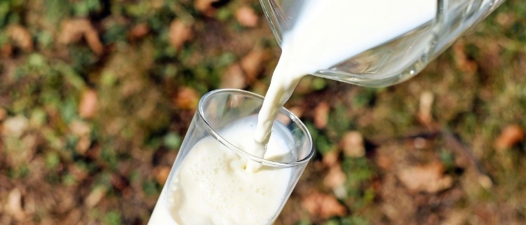 latte materno per gli adulti? ci stanno pensando le aziende