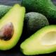 l’ avocado al posto dei carboidrati riduce fame e fa dimagrire. lo studio usa