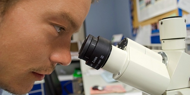 tumore, un ricercatore a lavoro guarda nel microscopio