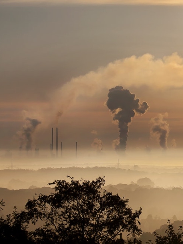 Inquinamento e stili di vita: i rischi per i tumori secondo AIL