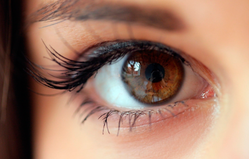l’occhio regola i ritmi circadiani e influenza l’assorbimento degli integratori