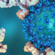nanoanticorpi per bloccare il virus