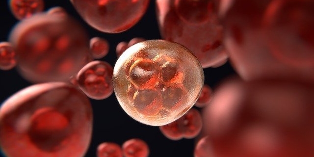 tumore, cellule del sangue