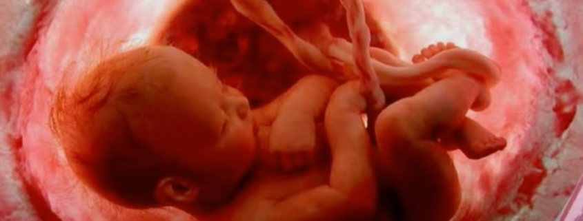 prematuri, un feto nell'utero materno