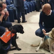 covid: 2 cani insieme al personale esperto che li ha addestrati a riconoscere i casi positivi