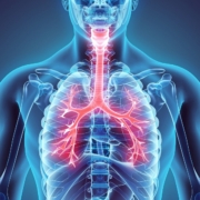 asma torace polmoni 1