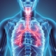 asma torace polmoni 1