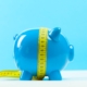disuguaglianze: blue piggy bank or money box
