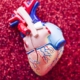 donne tac infarto. valvole cardiache malattie cardiovascolari strutturali, immagine di un cuore