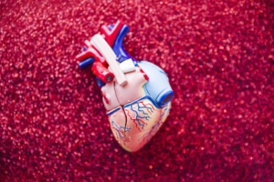 valvole cardiache malattie cardiovascolari strutturali, immagine di un cuore