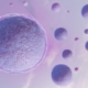pma: fertility concept 3d fertilità
