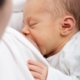 latte materno, un bimbo che allatta al seno