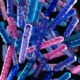 sifilide, rappresentazione-3d-di-patogeni-microscopici