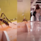 febbre dengue, cartelloni informativi in brasile