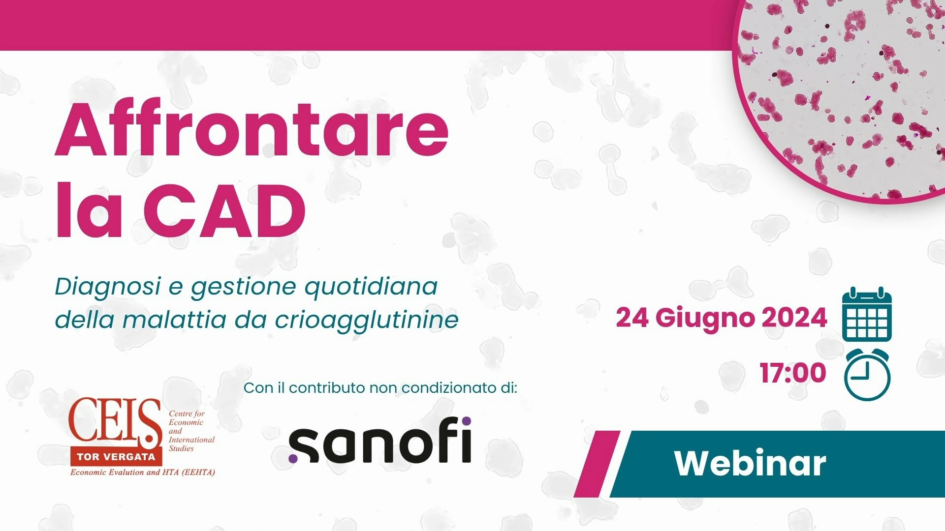 affrontare la cad - webinar ceis 24 giugno 2024