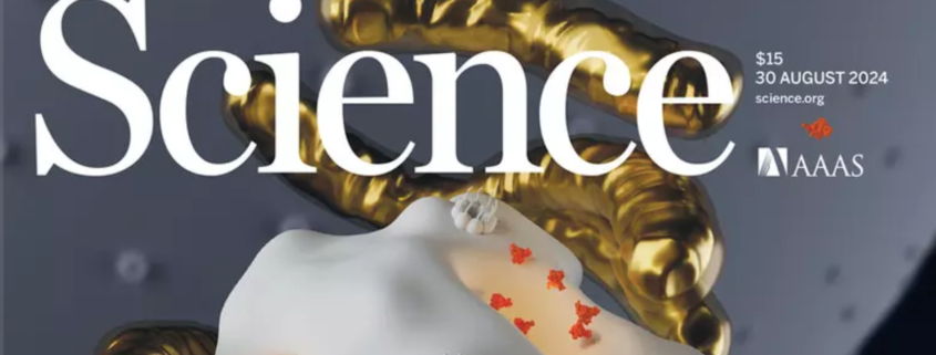 lotta al tumore, la copertina di science del 30 agosto 2024