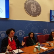 presentazione libro bianco aisf sulle malattie del fegato. nella foto: daniel della seta (giornalista scientifico)