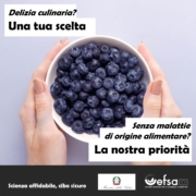 gopa efsa safe toeat key visual delizia culinaria mirtilli 1080x1080