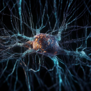 riprodizone di neuroni umani