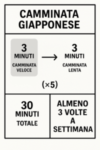 camminata giapponese, schema