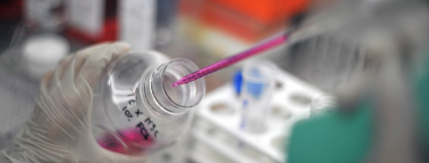 malattie autoinfiammatorie. laboratori di ricerca - lavorazione sotto cappa