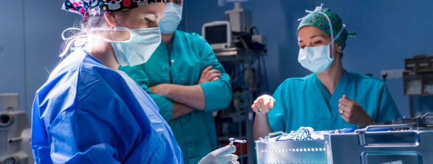 ricostruzione lingua