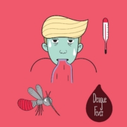 caso importato di dengue a brentonico in trentino dengue fever, illness, disease, health, infection, sickness, vaccine, diagnosis, infectious disease, flu, health care, patient, dengue fever, dengue fever, dengue fever, dengue fever, dengue fever