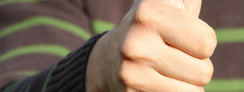 thumbs up, prima, thumbs up, thumbs up, thumbs up, thumbs up, thumbs up