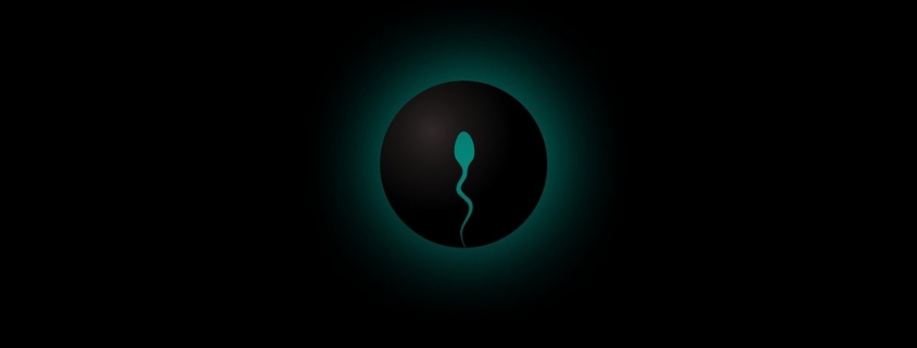 pregnant, sperm, pregnancy, fertility, conceive, embryo, fertile, gynecology