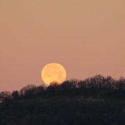 alba, luna, bosco, natura, mattino, natura, natura, natura, natura, natura