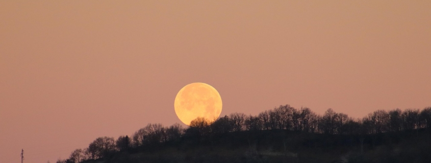 alba, luna, bosco, natura, mattino, natura, natura, natura, natura, natura