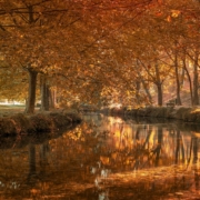 forest, river, autumn, woods, fall, nature, lake, landscape, caravaca de la cruz, spain, forest, forest, forest, river, river, river, autumn, autumn, fall, nature, nature, nature, nature, nature, landscape, landscape, landscape, spain, spain, spain