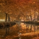 forest, river, autumn, woods, fall, nature, lake, landscape, caravaca de la cruz, spain, forest, forest, forest, river, river, river, autumn, autumn, fall, nature, nature, nature, nature, nature, landscape, landscape, landscape, spain, spain, spain