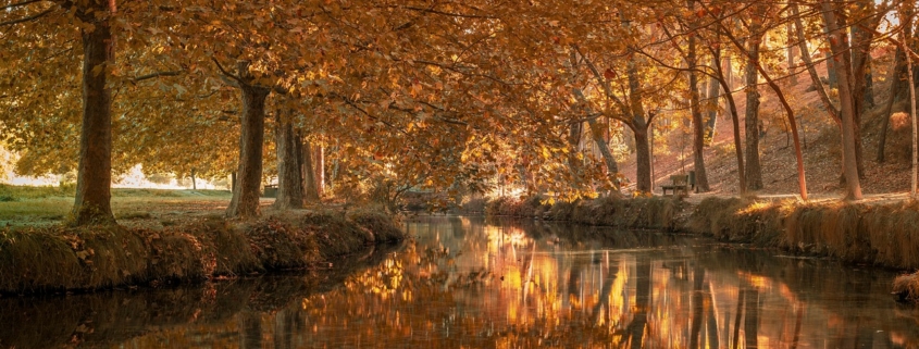 forest, river, autumn, woods, fall, nature, lake, landscape, caravaca de la cruz, spain, forest, forest, forest, river, river, river, autumn, autumn, fall, nature, nature, nature, nature, nature, landscape, landscape, landscape, spain, spain, spain