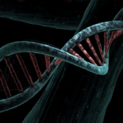 dna, biological, helix, analysis, study, genetic, deoxyribonucleic acid, dna, dna, dna, dna, dna