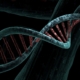 dna, biological, helix, analysis, study, genetic, deoxyribonucleic acid, dna, dna, dna, dna, dna