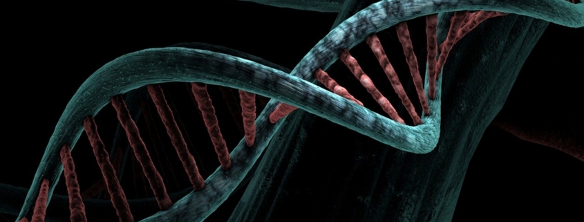 dna, biological, helix, analysis, study, genetic, deoxyribonucleic acid, dna, dna, dna, dna, dna