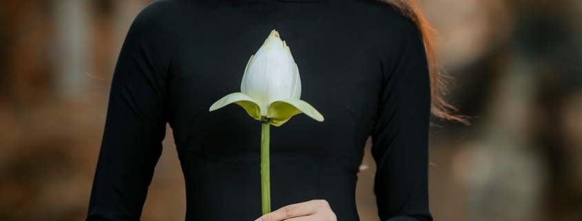woman, fashion, model, girl, female, pose, nón lá, ao dai, conical hat, hat, black dress, vietnamese, asian, portrait, vietnam, hanoi, asia, fashion, fashion, model, model, model, model, model, hat, black dress, vietnam, vietnam, vietnam
