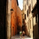 italy, bologna, alley, historic center, historical, sun, nature, the shade, pedestrian
