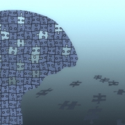 puzzle, puzzle pieces, dementia, alzheimer's, share, constant, human, retirement home, old people's home, care for the elderly, maintenance, dependent, need of care, disease, health, think, seniors, calcification, supply, fear, face, forgetfulness, mental disorder, dementia, dementia, dementia, dementia, dementia, alzheimer's